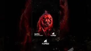 NAPPA - ROLLING IN THE DEEP  #4junglerecords #drumandbass #junglemusic #dnb