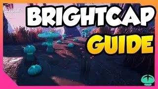 The Cycle Game // Brightcap Contract Guide // The Cycle Contracts