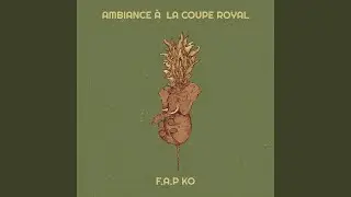Ambiance &agrave; la coupe Royal