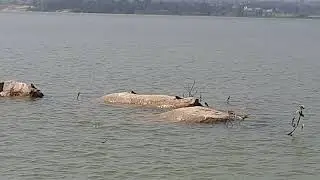 Gudibande lake view sunset point and a scenic place to visit during weekends!!!🙂