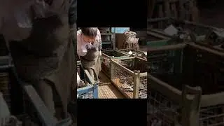Grinding And Inspection Of Bucket Teeth Point