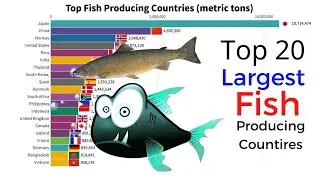 Top 20 Largest Fish Producing Counties (1960-2018)