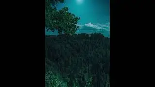 Heart Of Amazon Jungle Night Sounds for Sleeping .Vibe of Rainforest Ambience