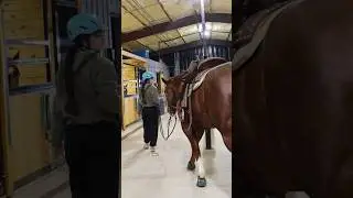 Ride With Me During The Snowstorm 🥶#barrelracing #horse #equestrian #rodeo #vlog g