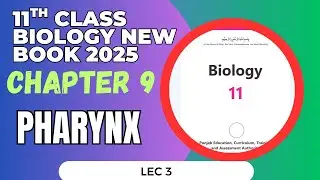 11th Class Biology | Pharynx | Chapter 9 Human Digestive System | New Book 2025 | 1st Year Bio