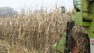 CLAAS DOMINATOR 66