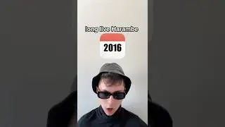every meme since Gen Z was born.. 😵&zwj;💫 #Recap #GenZ #2024