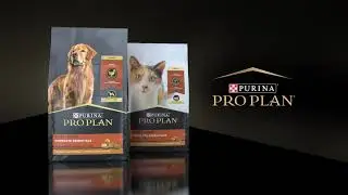 Purina Pro Plan's New Dog & Cat Food Packaging Design - English