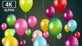 Realistic Balloon Flying Animation - Envato Element