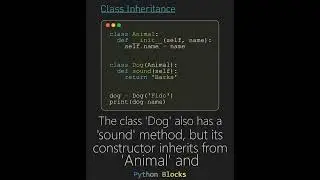 Python Class Inheritance Expert