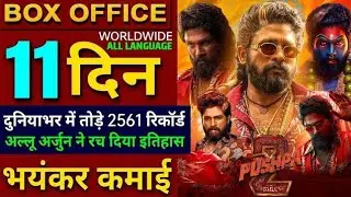 Pushpa 2 box office collection | 1200 Cr Worldwide day 11 | KGF 2, RRR Pichhe