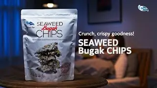 Korean Roasted Seaweed Chips @Costco & Amazon