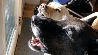 Heard Something, Found Something