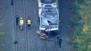 1 dead, 16 hurt after tree falls on NJ Transit Light Rail train