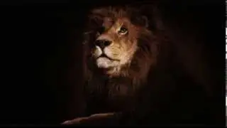 Le Lion - 3,000 Followers EP Showreel (Mixed By TheDubCritic) [Free Download]