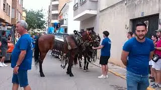 2025 SANT JOAN BOUS 21 6
