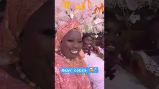 Mariage mamy cobra 💍😍