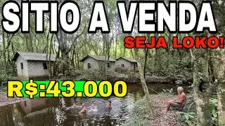 ( S&iacute;tio a Venda ) MUITA &Aacute;GUA EM ABUND&Acirc;NCIA- J&Aacute; COM UVA PLANTADO E PASTO PARA O GADO 