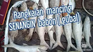Rangkain mancing Senangin Babon ( gubal )