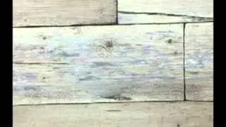 wallpaper on wood furniture,wood house wallpaper,color wood wallpaper,