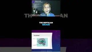 The Amygdala: Your Brain's Survival Alarm & How It Works! #rtbshorts