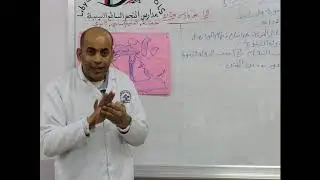 مادة التاريخ للصف الخامس الأساسي / الدولة الأموية واتساعها