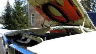 Super Bee Video