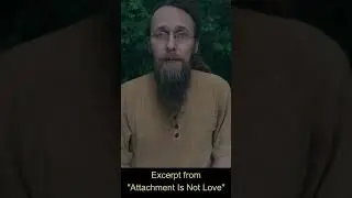 Attachment Is Not Love - Excerpt #shorts