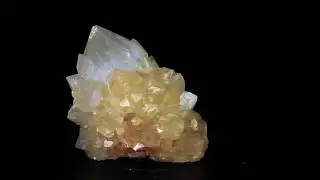 Q440 - Extra Large Cactus Quartz Crystal