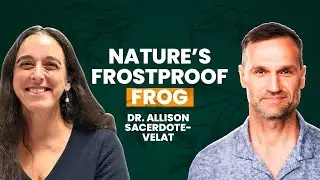 Snakes, Frogs, And The Secrets Living Beneath Our Feet @primalbiology