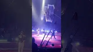 Circus gebrüder barelli Ludwigsburg Domäne monrepos vor dem seeschloss 