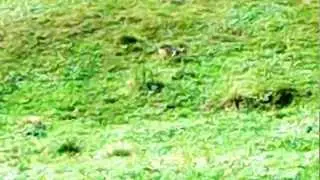 DSCF2305