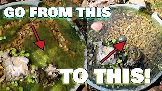 How To Install An IONGEN