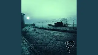 Transmission 001: Mimetic Misery