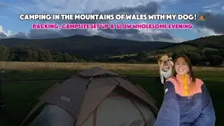 Camping in the Mountains of Wales with My Dog! 🏕️🐾 | Packing, Campsite Set Up & Wholesome Evening
