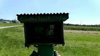 O car&aacute;ter e a honestidade dos su&iacute;&ccedil;o. swiss honesty