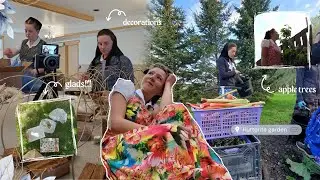 WITL | свежее из сада, свадебные беседы и нежелательные сюрпризы....видеоблог 196