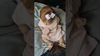 Babygirl ♡ #reborn #reborngirl #rebornoriginal #bonniebrown #reborncollector #reborncommunity #doll
