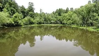 Brief Hiking Tour of Lake Mackintosh Park - Gibsonville, NC