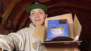 Reviewing JKDistro Chem Dog 91 X GSC THCA Flower! (BEST BUDGET BUD!)￼