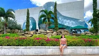 Dali Museum | Dreams of Dali VR Review | Wishing Tree