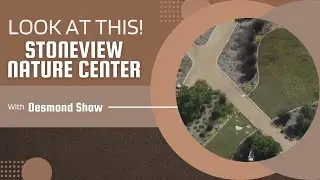 Stoneview Nature Center has a hotel... for bees?