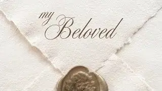 ୨୧⸝⸝ 𝓯riends that feel like home  ⸝⸝﹒₊˚ manifest true friendships into your life 