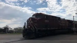 Horn Salute on CP!! DPU 8787! CP 8602 and 8787 fly across Islington Avenue, Toronto ON