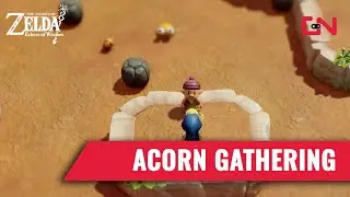 Acorn Gathering Zelda Echoes of Wisdom Challenge