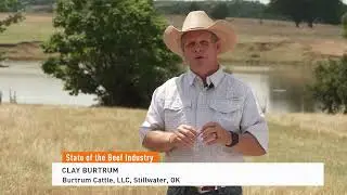 State of the Beef Industry: When Will Cattle Producers Begin Rebuilding Herd?