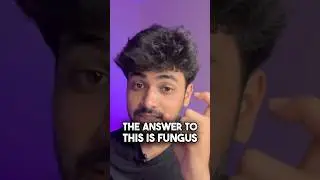 NEET Biology: Yeh Sawal Har Baar Aate Hain | Ecology #neetstrategy