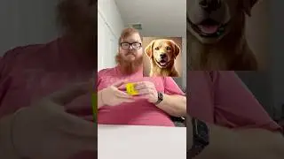 I Tried Rubik Art for 30 Days and Created a Dog Masterpiece