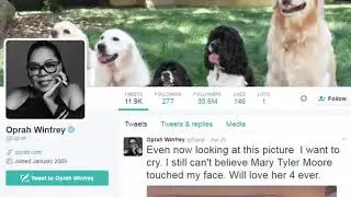 Twitter Management Tools