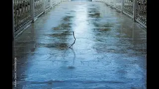 Rain Water Puddle in the Bridge